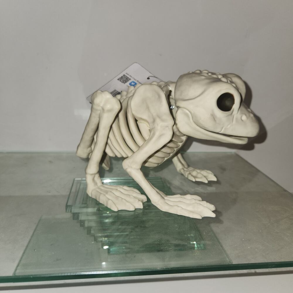 NWT Frog Skeleton 4.5"